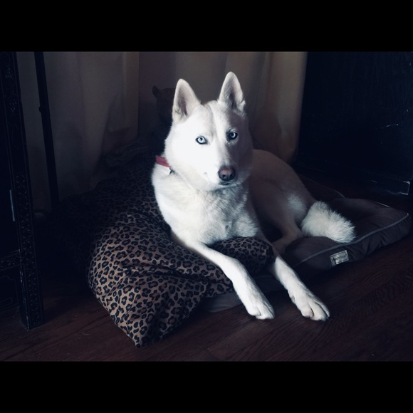 I ♥️POSHMARK♥️ - Picture 1 of 1